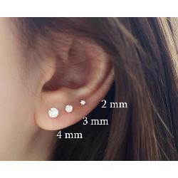 Par de Pendientes Garra Red. 3mm/4p (Oro 9K)